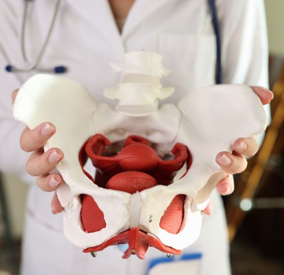 Ginecología y Obstetricia