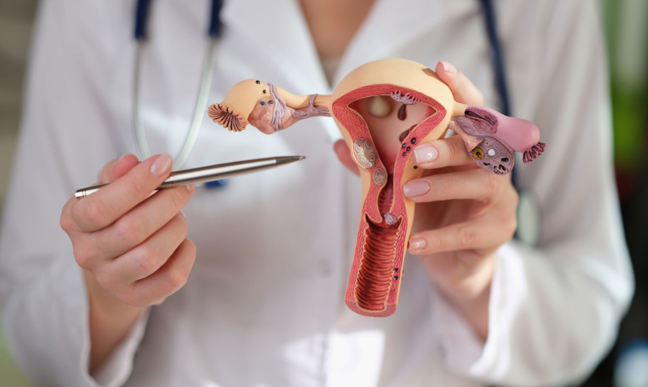 Ablación endometrial - Procedimientos